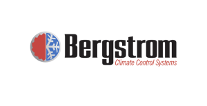 Bergestorm